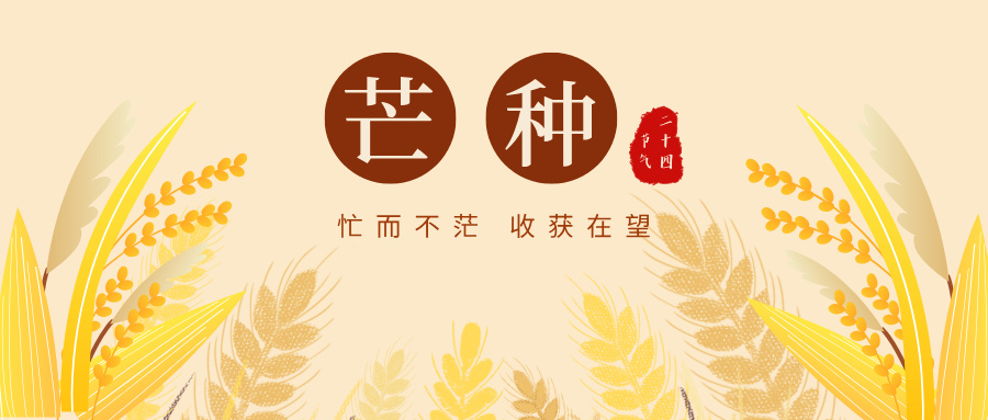 【芒种】忙而不茫 收获在望