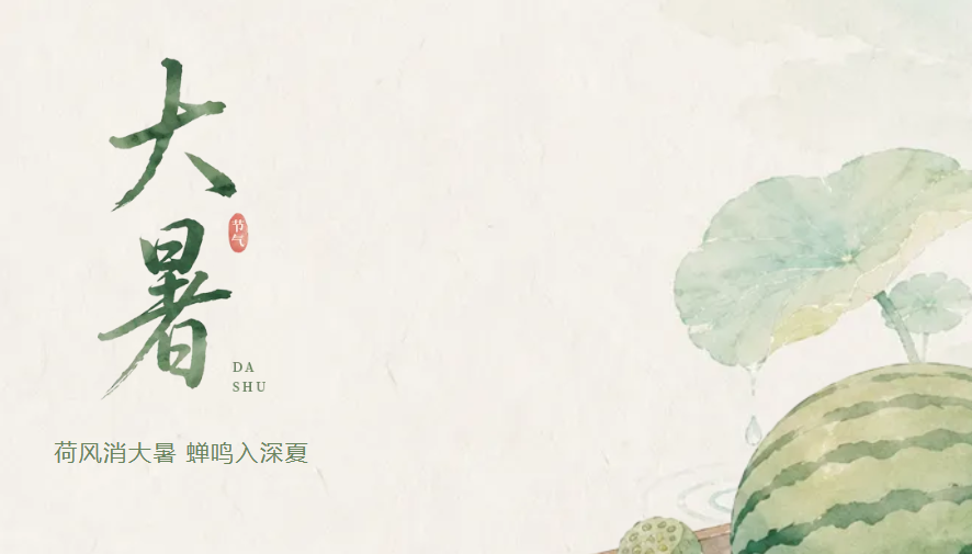 荷风消大暑 蝉鸣入深夏